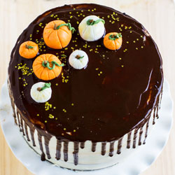 pumpkin chocolate cake