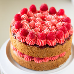 chocolate chiffon raspberry cake