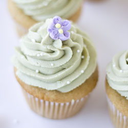 simple vegan green tea cupcakes